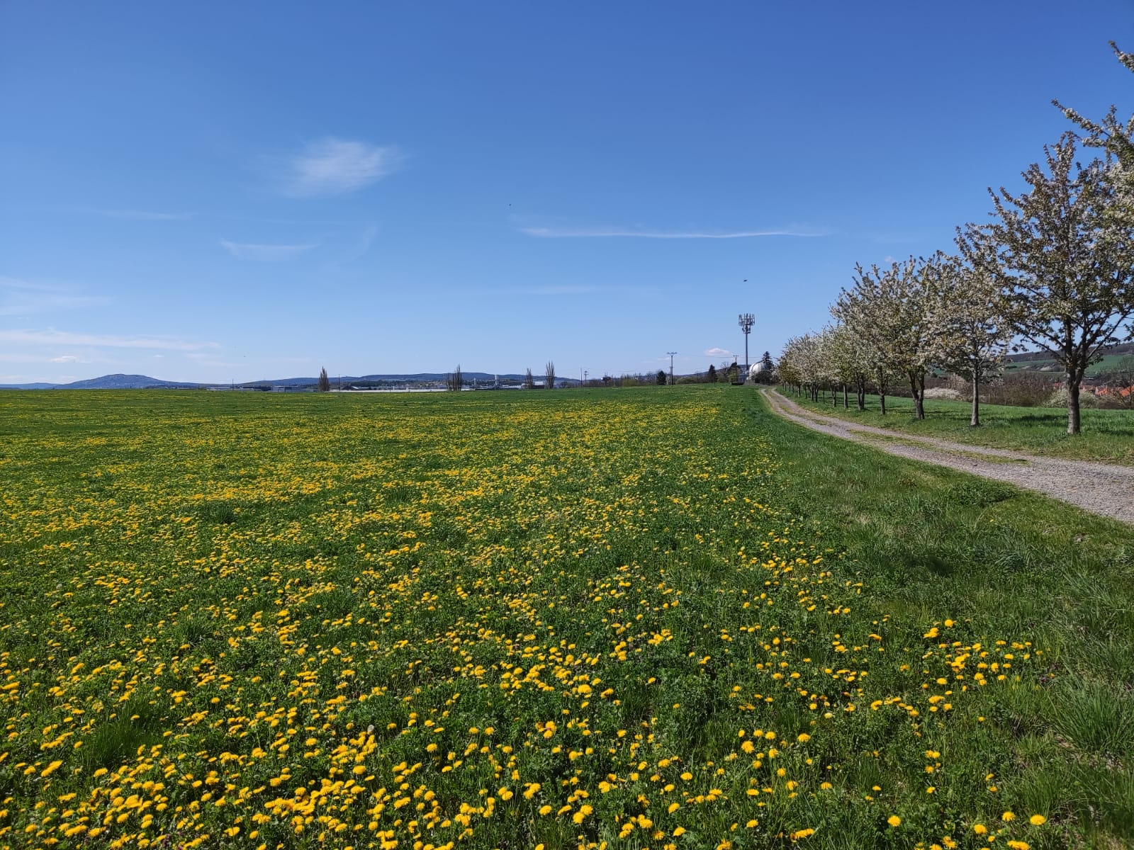 Okolo hvězdárny vše kvete